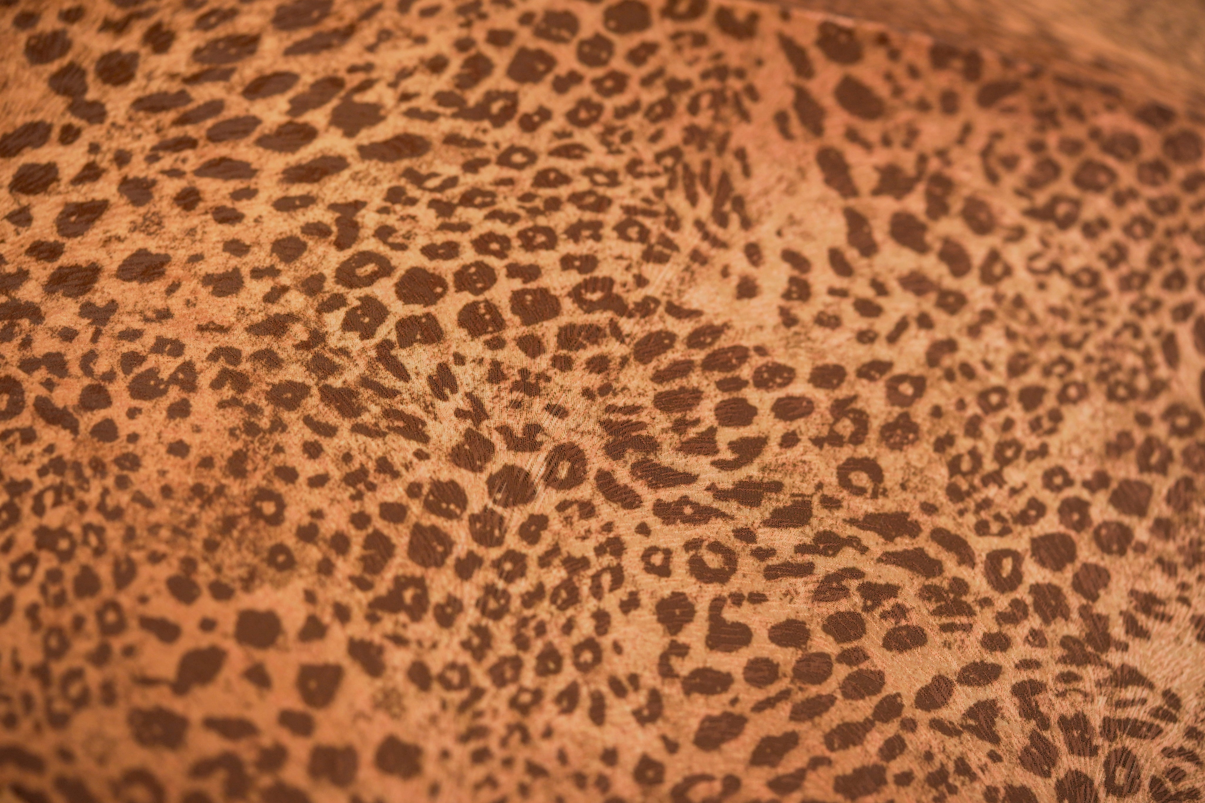 Ombrello il Marchesato con impugnatura a forma di gatto placcata in oro 24K