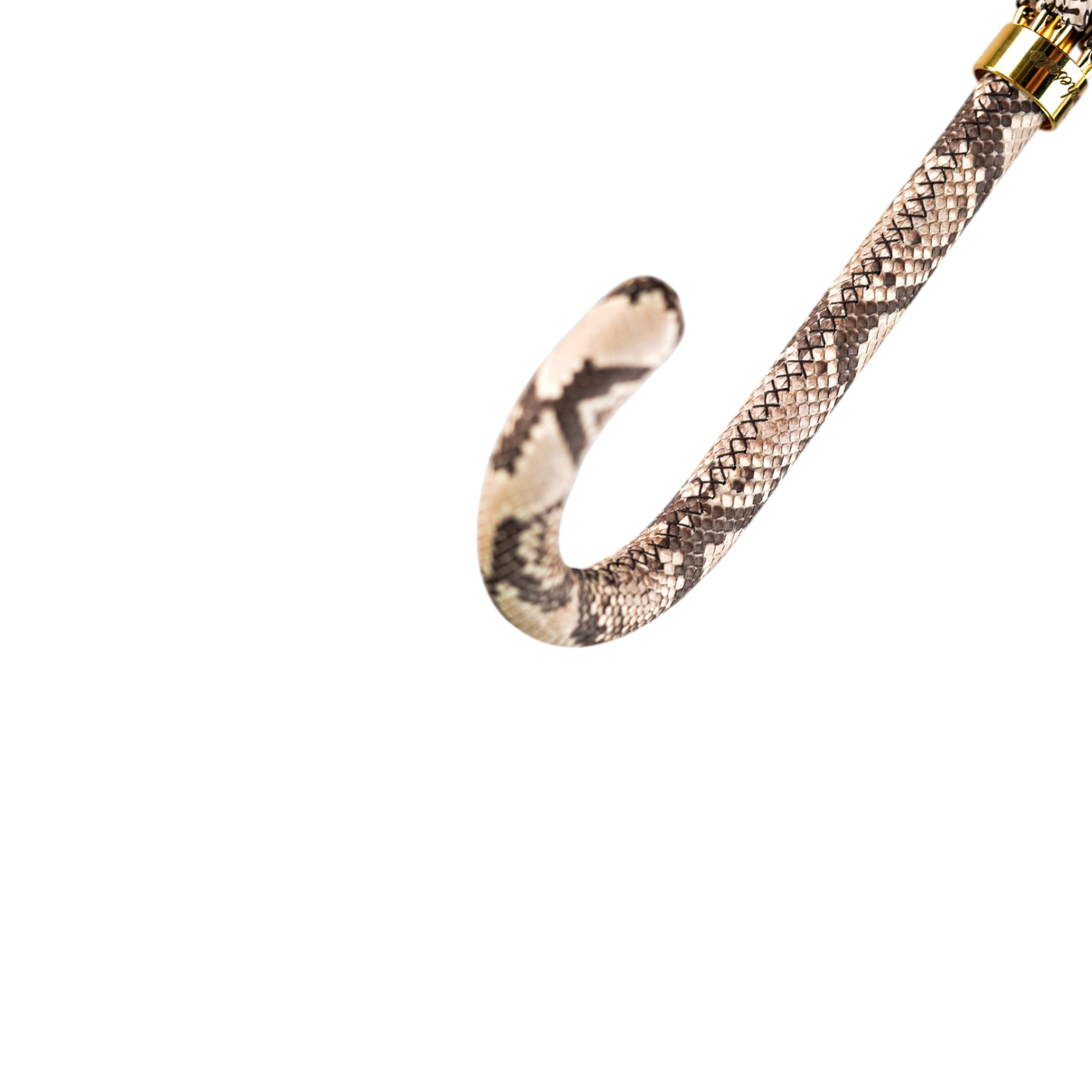 Elegance with a Bite – Handcrafted Python-Style Umbrella