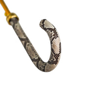 Elegance with a Bite – Handcrafted Python-Style Umbrella