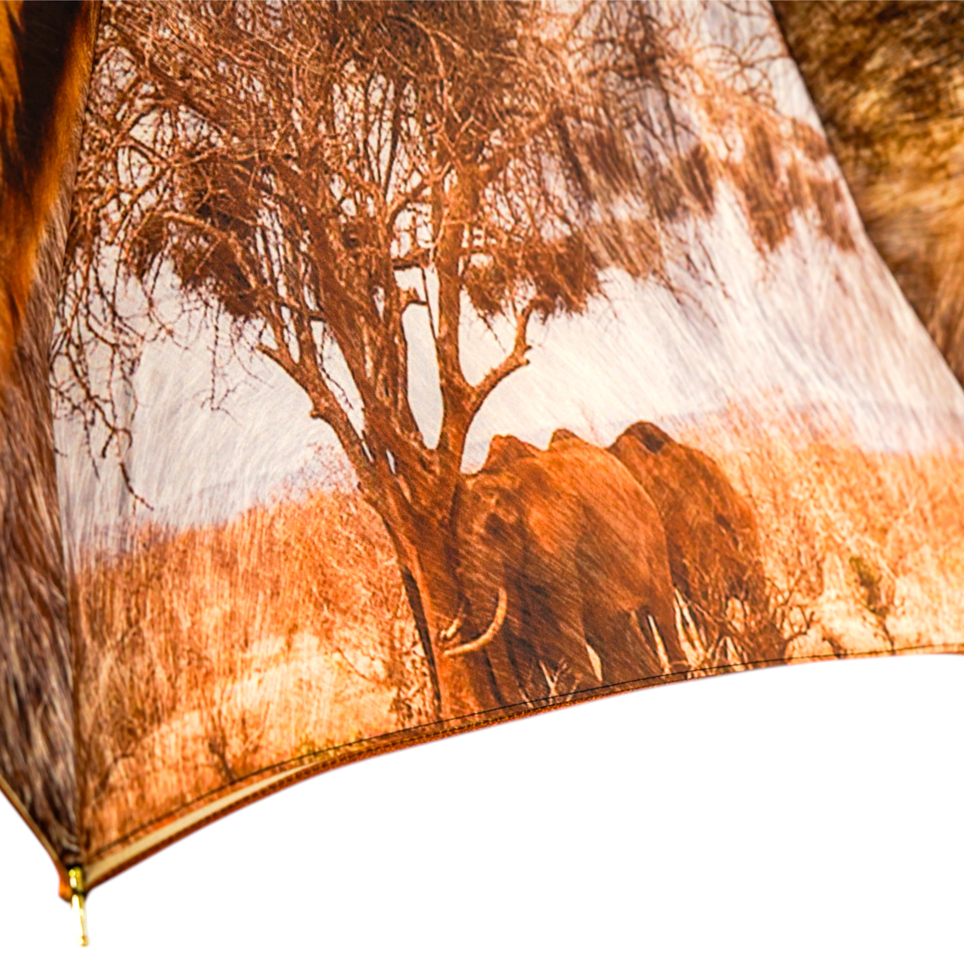 Regal Elegance from the Heart of the Savannah - Goldplated 24K Lion handle