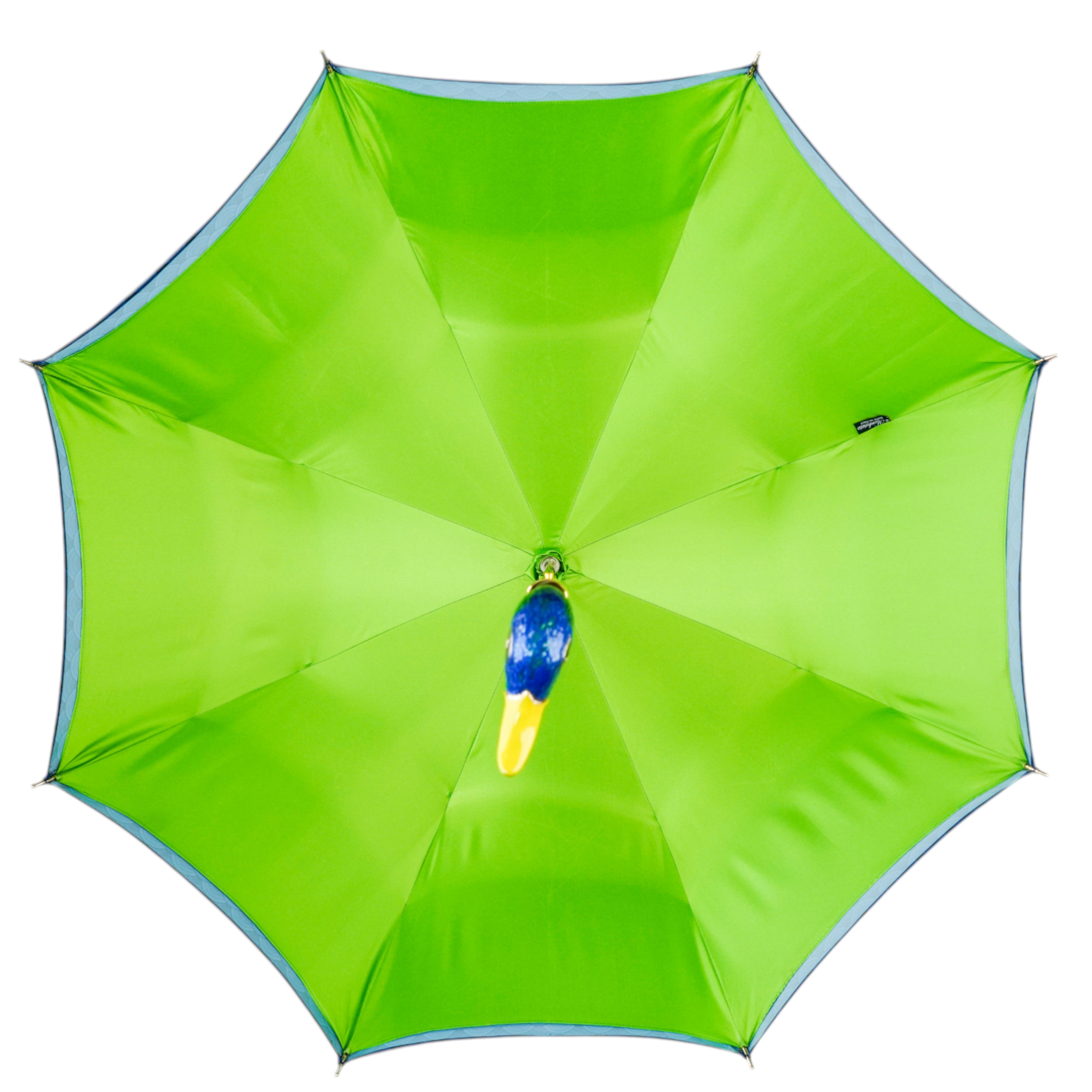Art Meets Nature – The Enamel Duck Umbrella