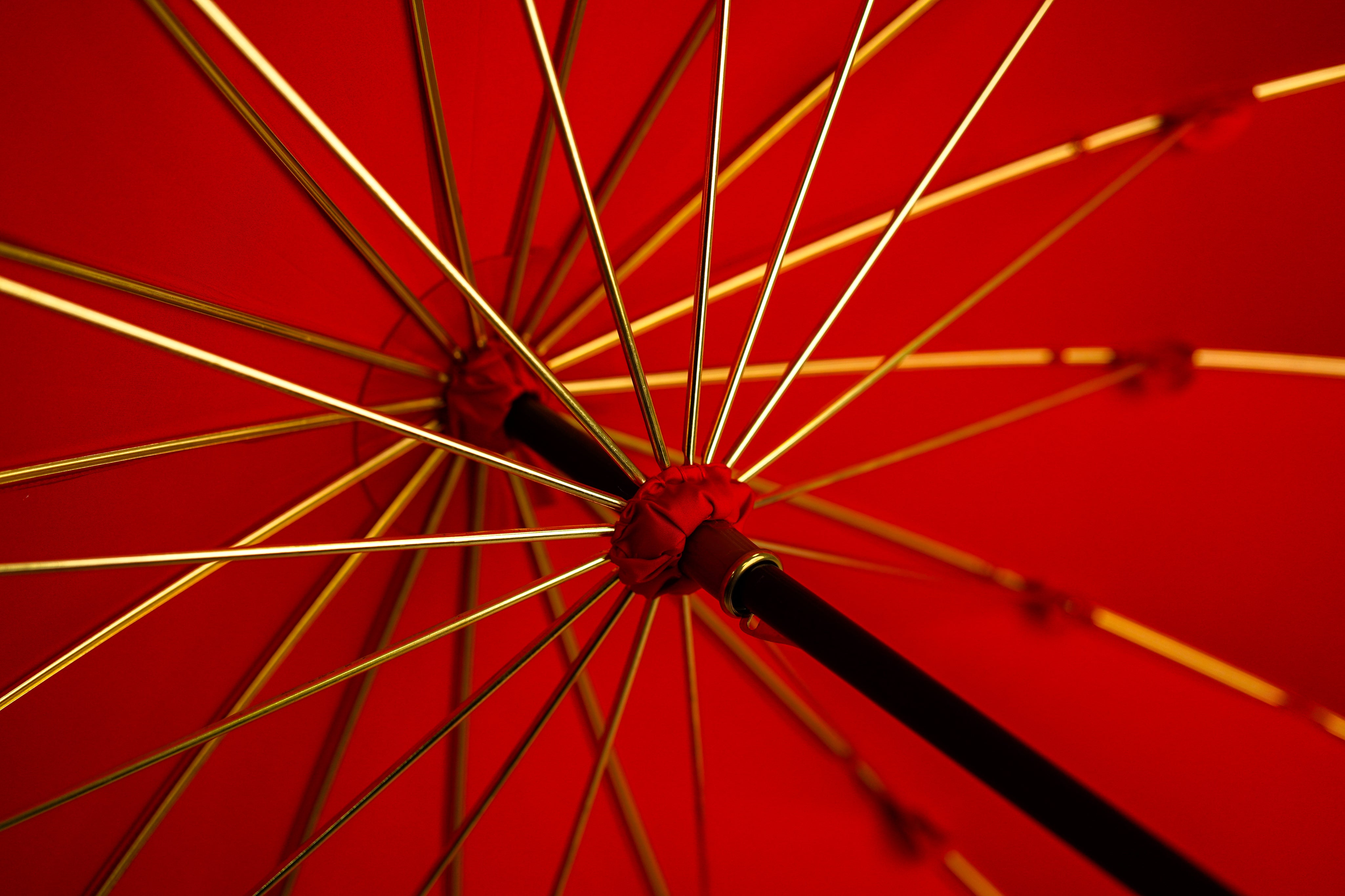 LIMITED COLLECTION - Exclusive Red Umbrella with Jeweled Panther Handle