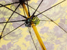 New Floral Pattern, Women's Umbrella - il-marchesato