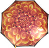Beautiful Umbrella Features a Fantastic Flower - il-marchesato