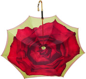 Beautiful Umbrella With Rose Design - il-marchesato