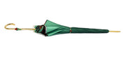 Fanciful Green Umbrella with Roses