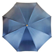 Ombrello Blu con ornamenti leopardati