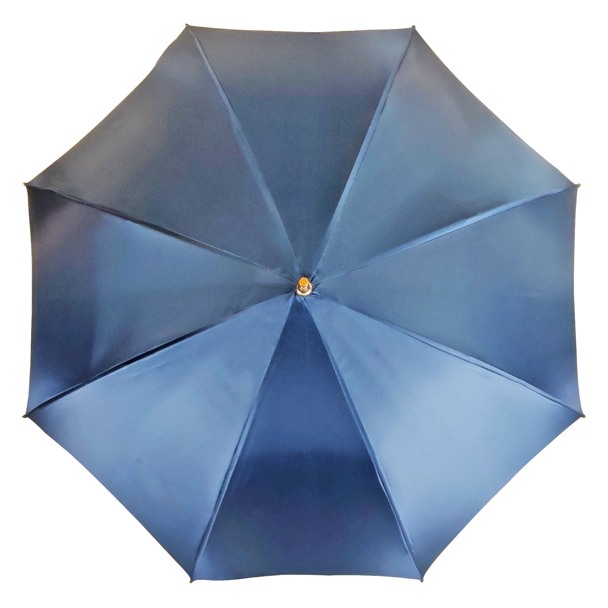 Ombrello Blu con ornamenti leopardati