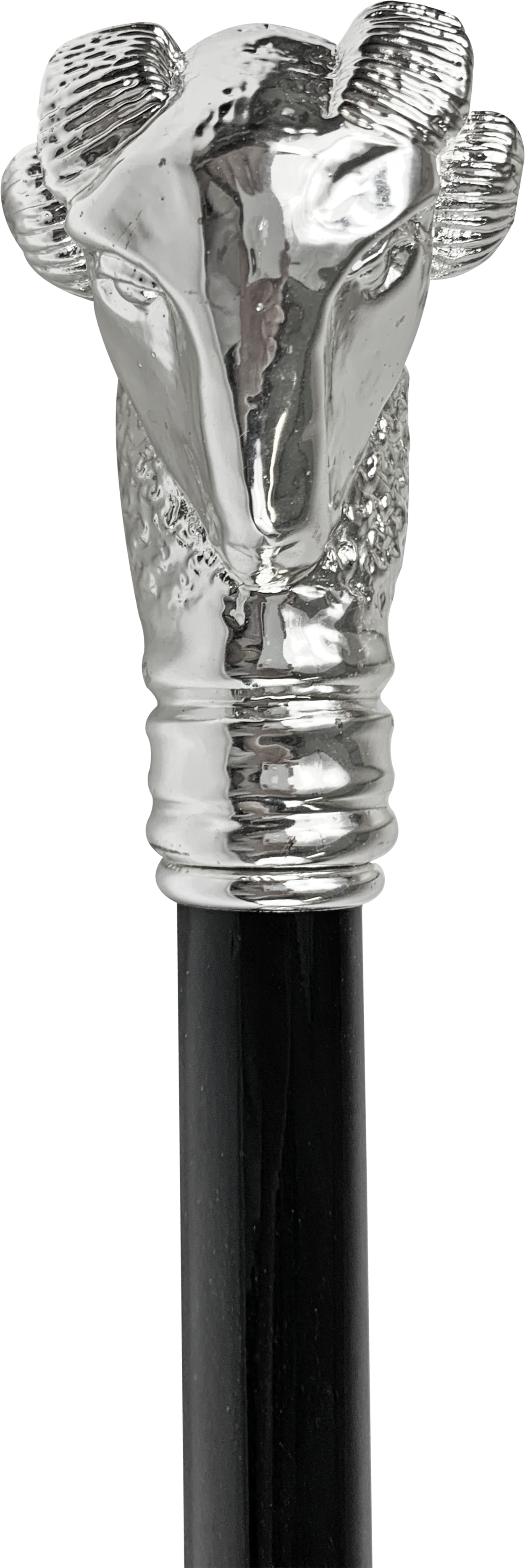 Exclusive Walking stick with Silverplated 925 Ram