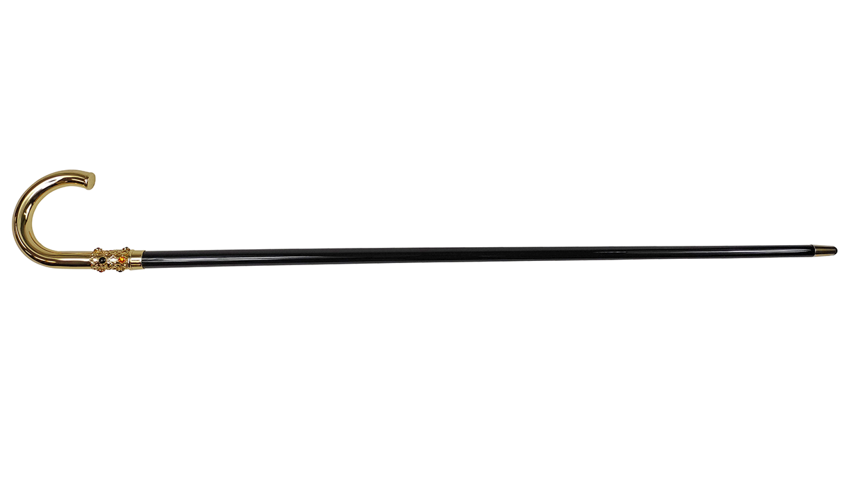 Walking stick for Man with Crystals