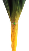 il Marchesato Luxury Parrot Umbrella, Double Cloth - il-marchesato