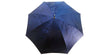 Amazing Zebra Umbrella Enamel on 24K gold - il-marchesato